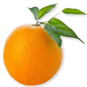 橙色带叶子PNG透明背景免抠图元素 素材中国编号:811