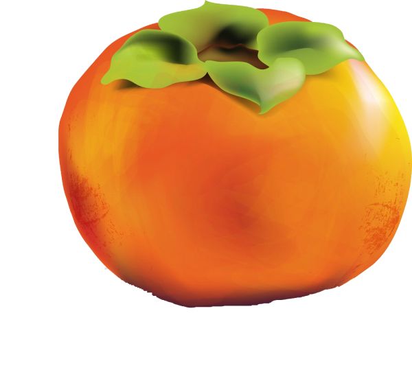 柿子 PNG免抠图透明素材 素材天下
