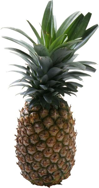 菠萝水果PNG透明背景免抠图元素 素
