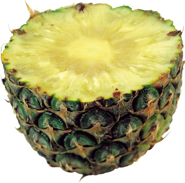 半个菠萝PNG透明背景免抠图元素 16图库网编号:2751