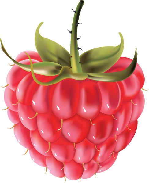 树莓PNG免抠图透明素材 素材天下编号:5054
