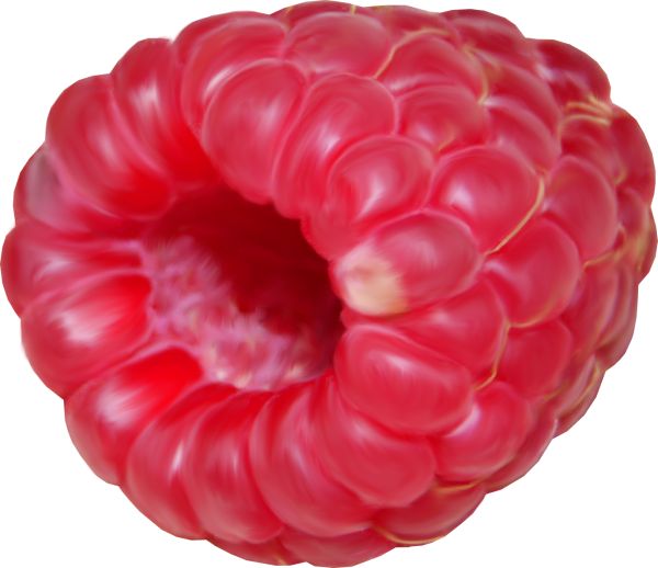 树莓PNG免抠图透明素材 素材天下编号:5069