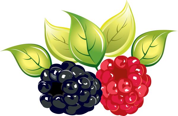 树莓PNG透明背景免抠图元素 16图库网编号:5071