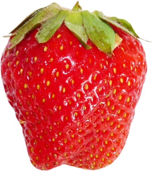 草莓 PNG免抠图透明素材 16设计网编号:2583