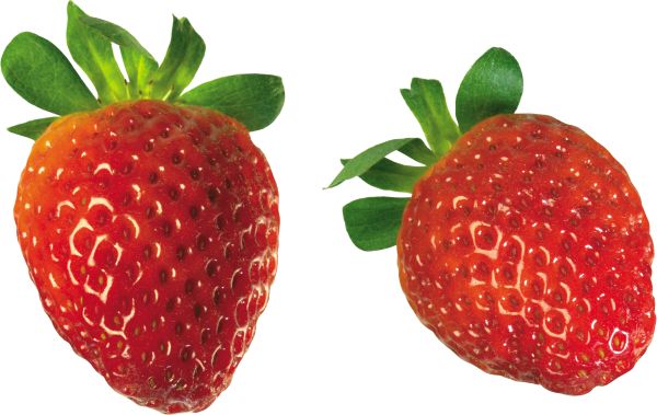 草莓PNG免抠图透明素材 16设计网编号:2602