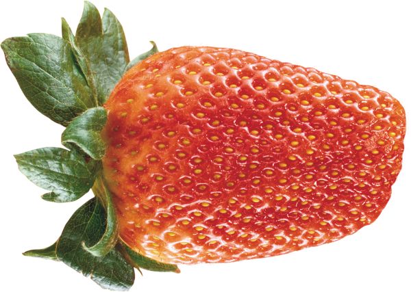 草莓PNG透明元素免抠图素材 16素材网编号:2604