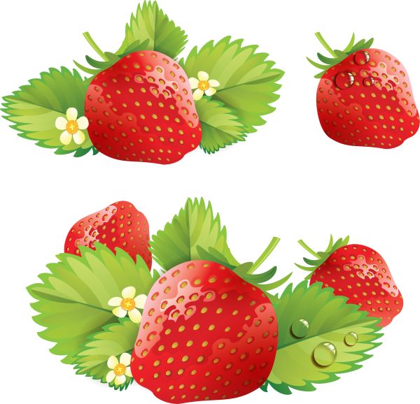 带叶子的草莓PNG免抠图透明素材 普贤居素材编号:2613