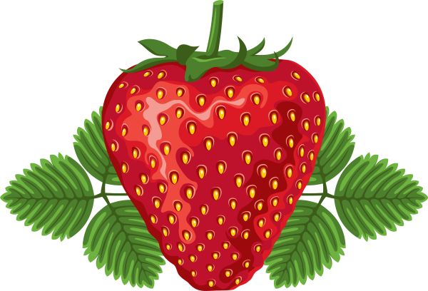 草莓叶子PNG透明背景免抠图元素 素材中国编号:2623