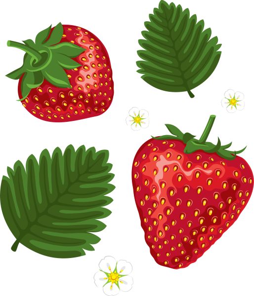 草莓绿叶PNG透明背景免抠图元素 素材中国编号:2624