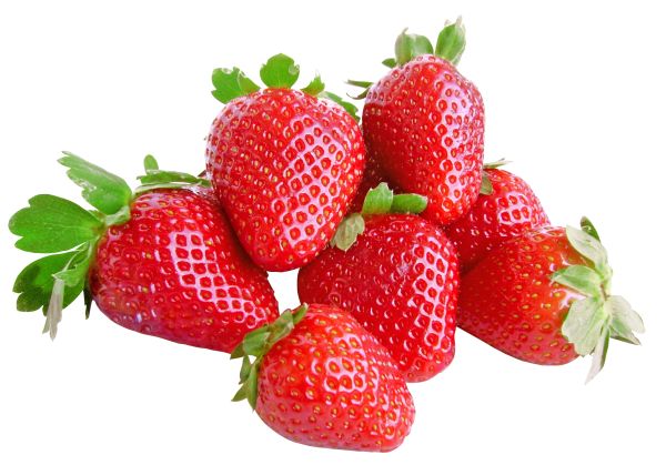 成熟草莓 PNG免抠图透明素材 16设计网编号:2630