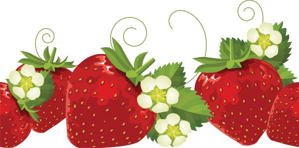 草莓 PNG透明背景免抠图元素 16图库网编号:2632