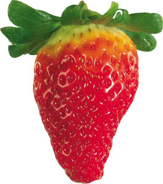 透明背景草莓PNG透明背景免抠图元素 16图库网编号:2634