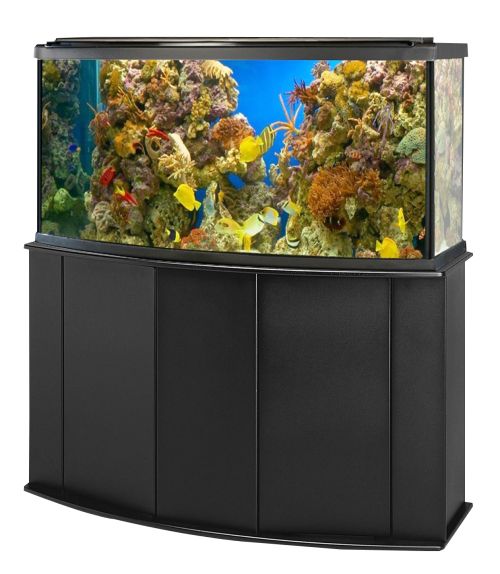 水族馆 PNG免抠图透明素材 16设计