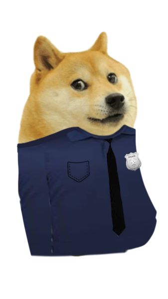 Doge (meme) PNG image 图片编号:104501