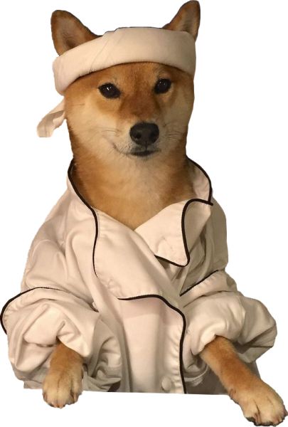 Doge (meme) PNG image 图片编号:104506