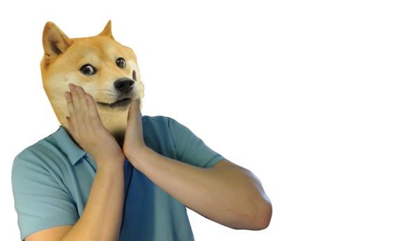 Doge (meme) PNG image 图片编号:104490