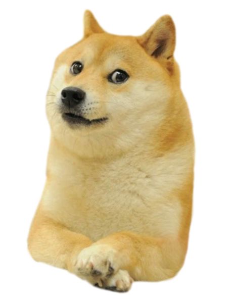 Doge (meme) PNG image 图片编号:104496