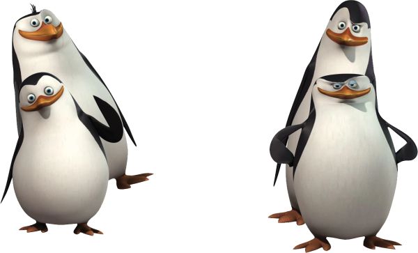 马达加斯加企鹅 PNG透明背景免抠图元素 素材中国编号:31107