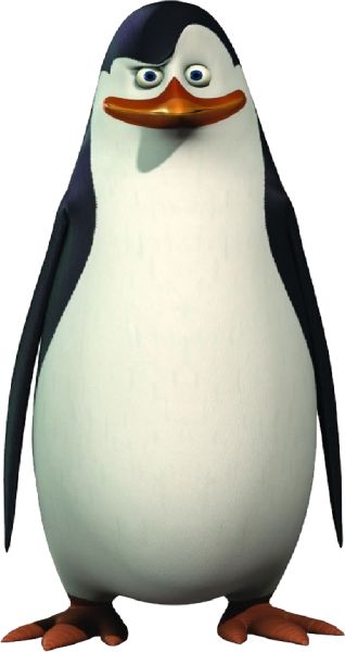 马达加斯加企鹅 PNG免抠图透明素材 素材中国编号:31118