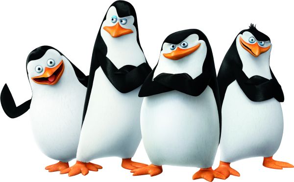 马达加斯加企鹅 PNG免抠图透明素材 16设计网编号:31121