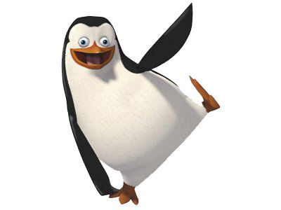 马达加斯加企鹅 PNG免抠图透明素材 普贤居素材编号:31122
