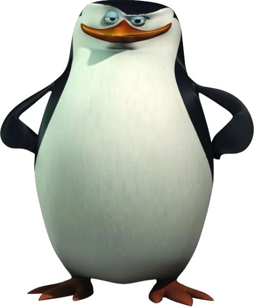 马达加斯加企鹅 PNG免抠图透明素材 普贤居素材编号:31125