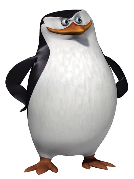 马达加斯加企鹅 PNG透明背景免抠图元素 16图库网编号:31128