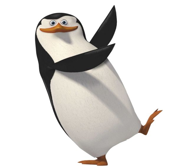 马达加斯加企鹅 PNG免抠图透明素材 普贤居素材编号:31135