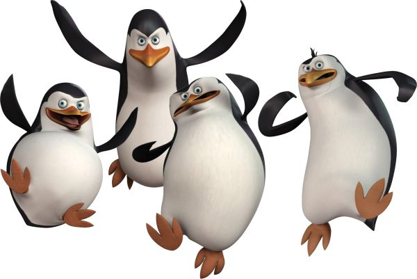 马达加斯加企鹅 PNG透明背景免抠图元素 素材中国编号:31109