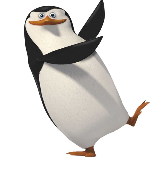 马达加斯加企鹅 PNG免抠图透明素材 普贤居素材编号:31136