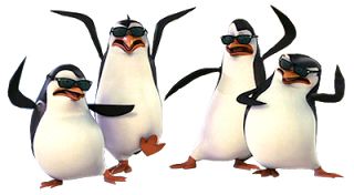 马达加斯加企鹅 PNG透明背景免抠图元素 素材中国编号:31137