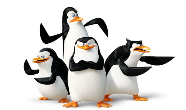 马达加斯加企鹅 PNG透明背景免抠图元素 素材中国编号:31138