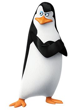 马达加斯加企鹅 PNG免抠图透明素材 16设计网编号:31140