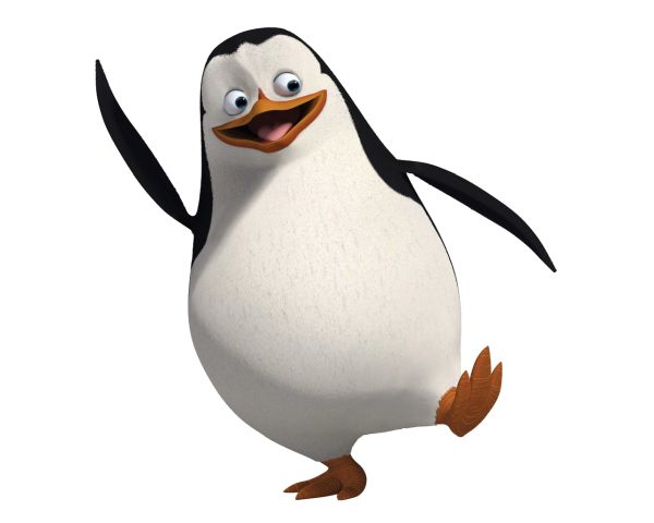马达加斯加企鹅 PNG免抠图透明素材 普贤居素材编号:31141