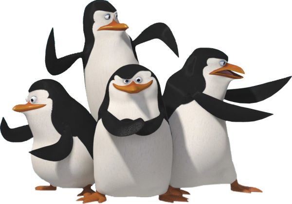 马达加斯加企鹅 PNG免抠图透明素材 16设计网编号:31143