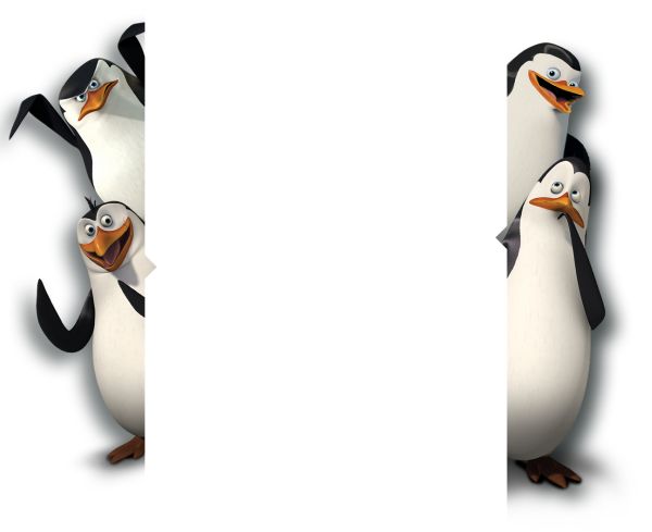 马达加斯加企鹅 PNG免抠图透明素材 素材中国编号:31147