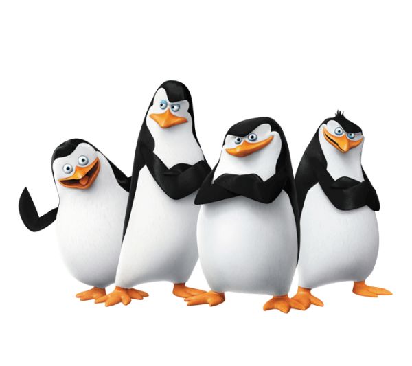 马达加斯加企鹅 PNG透明背景免抠图元素 素材中国编号:31150