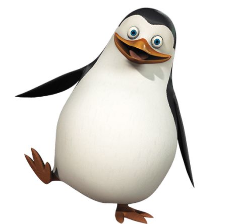 马达加斯加企鹅 PNG免抠图透明素材 普贤居素材编号:31153