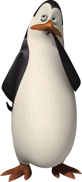 马达加斯加企鹅 PNG免抠图透明素材 素材中国编号:31111