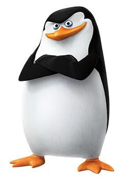 马达加斯加企鹅 PNG免抠图透明素材 普贤居素材编号:31159