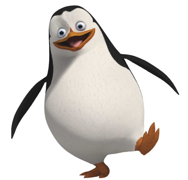 马达加斯加企鹅 PNG透明背景免抠图元素 16图库网编号:31160