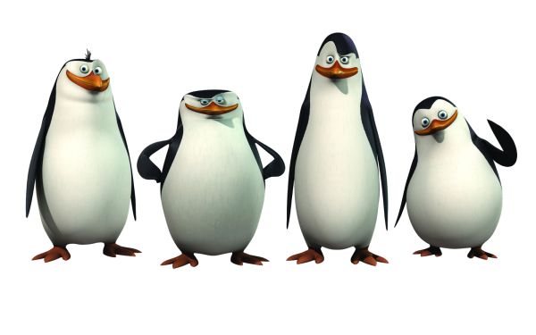 马达加斯加企鹅 PNG透明背景免抠图元素 素材中国编号:31162