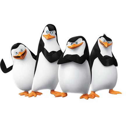 马达加斯加企鹅 PNG免抠图透明素材 普贤居素材编号:31167