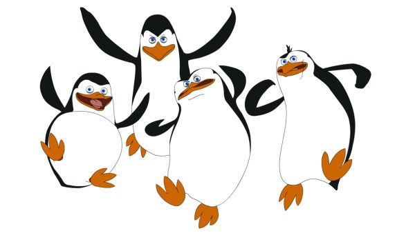 马达加斯加企鹅 PNG免抠图透明素材 普贤居素材编号:31170