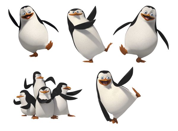 马达加斯加企鹅 PNG透明背景免抠图元素 16图库网编号:31174
