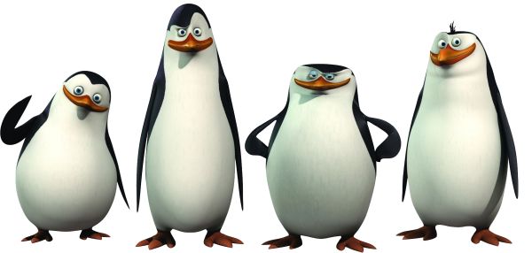 马达加斯加企鹅 PNG透明背景免抠图元素 16图库网编号:31114