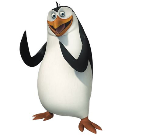 马达加斯加企鹅 PNG透明背景免抠图元素 16图库网编号:31190