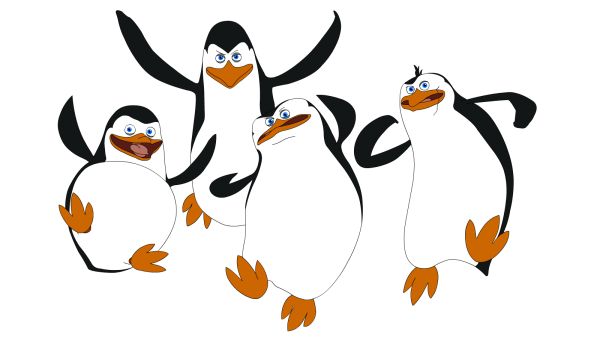 马达加斯加企鹅 PNG透明背景免抠图
