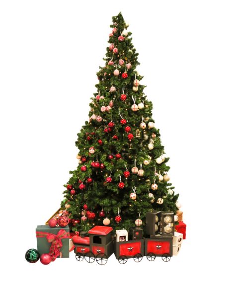 圣诞树PNG透明背景免抠图元素 16图库网编号:38609