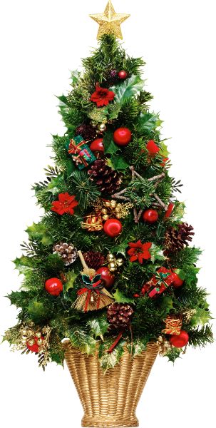 圣诞树PNG免抠图透明素材 16设计网编号:38610